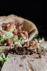 Mushrooms on rustic wooden table