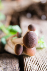 Mushrooms on rustic wooden table