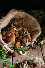 Mushrooms on rustic wooden table