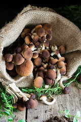 Mushrooms on rustic wooden table