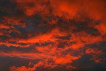 Fototapeta premium voluminous summer clouds . Beautiful sky.