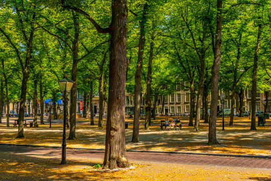 Alley Alongside Lange Voorhout Street In The Hague, Netherlands