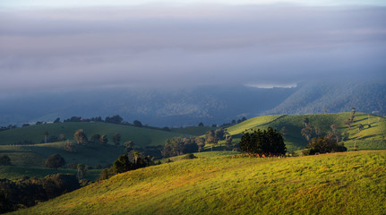 landscape in the mountains, atherton tablelands