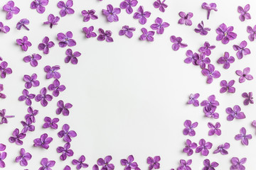Fototapeta na wymiar Spring flowers. Purple lilac flowers background