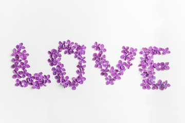 Spring flowers. Purple lilac flowers background