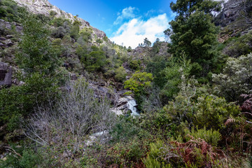 Mountain creek in Peneda Geres, Portugal.