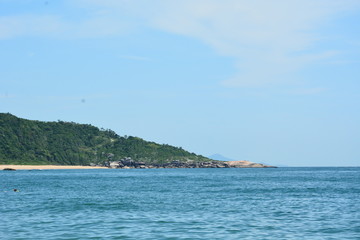 Fototapeta premium taquaras - sc