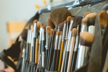 Many brushes of makeup artist in bag.
