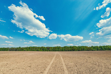 Tire tracks on the dry field at day time before the seeding.