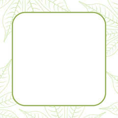 banner frame empty and copy space with graphic cassava leaf nature sketch art line background, leaf hand drawn banner frame for potato organic menu foods, drawing leaf for banner template agricultural