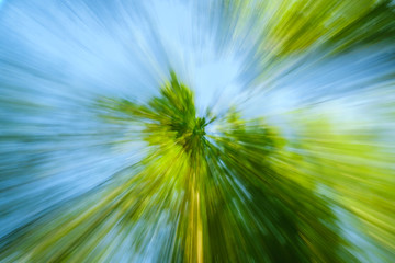 Obraz premium Abstract image of tree in countryside. Created by zooming out while closing shutter. Zoom speed blured motion.