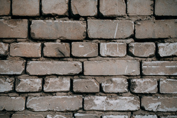 Brick wall in daylight, texture, background