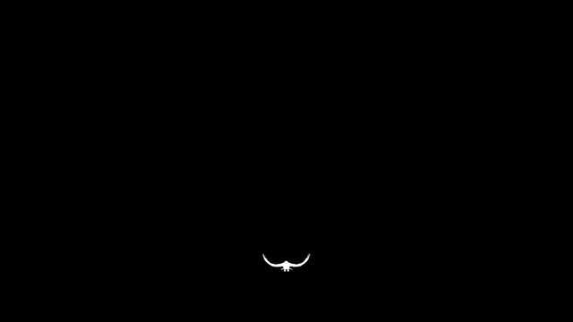 Eagle Silhouette Transparent Alpha Video Loop Animation