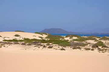 Sand Dunes and beach in National Park Corralejo, Fuerteventura.
