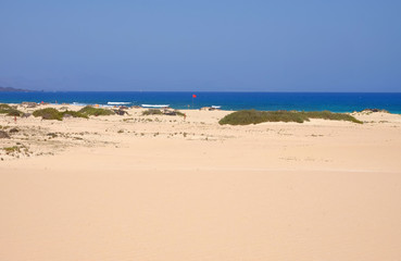 Fototapeta na wymiar Beach Corralejo on Fuerteventura, Canary Islands.