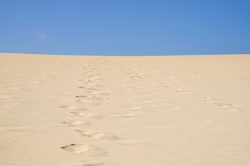 Sand Dunes in National Park Corralejo, Fuerteventura.