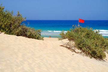Sand Dunes and beach in National Park Corralejo, Fuerteventura.