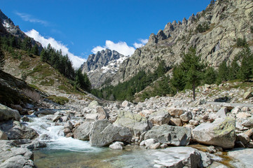 Trekking in the Gorge of Restonica, pine, rock and valley a Typical landscape of the Corsica mountains, France.