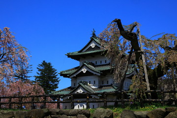 春の弘前公園