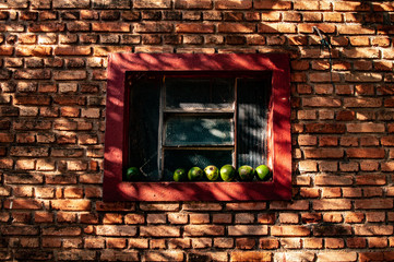 Brick wall with a window and avocados