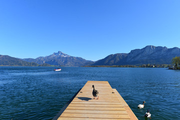 Steg am Mondsee im Salzkammergut