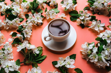 A cup of tea stands on a coral background surrounded by white flowers of an apple tree. The concept of spring tea and medicinal decoctions. Close up..