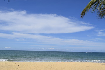 Fototapeta na wymiar Horizonte de praia. Areia, mar, céu azul e palmeira