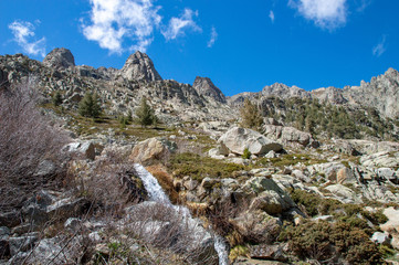 Trekking in the Gorge of Restonica, pine, rock and valley a Typical landscape of the Corsica mountains, France.
