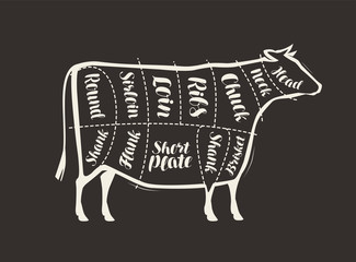 Cut of beef meat drawn on the blackboard. Menu for restaurant or butcher shop. Vector