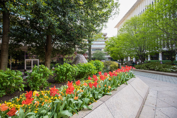 National Geographic Building, Washington DC