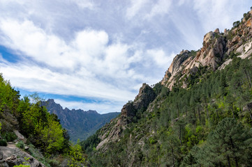 Fototapeta na wymiar Bavella Needles, typical mountain landscape of Corsica, France.