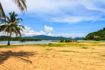Palm trees on Nai Yang beach