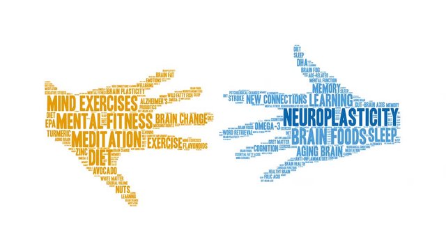 Neuroplasticity Animated Word Cloud on a white background. 