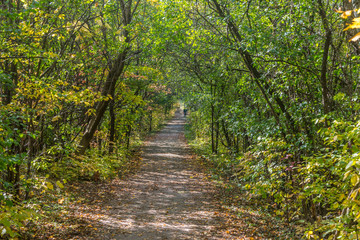 Fototapeta premium Fall time in park