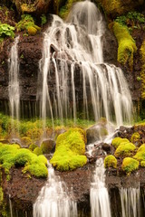 滝と緑の苔（吐竜の滝/山梨県）