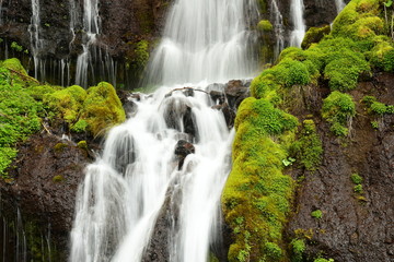 滝と緑の苔（吐竜の滝/山梨県）