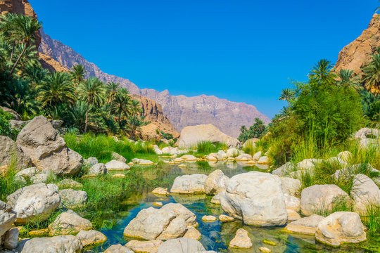 Lagoon with turqoise water in Wadi Tiwi in Oman.