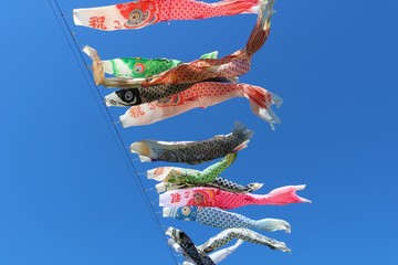 風景　鯉のぼり　春　公園　杤木