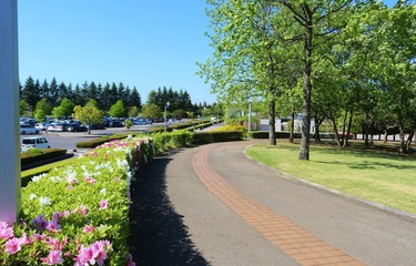 風景　休日の公園　春　杤木