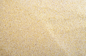 yellow millet as food background