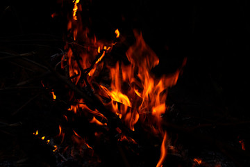 Fototapeta na wymiar orange fire on black background