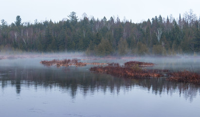 Mist by the lake