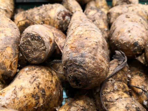 Group of arracachas in a supermarket. Root vegetable of the Andean region. Other names are creole celery, racacha, virraca or white carrot.