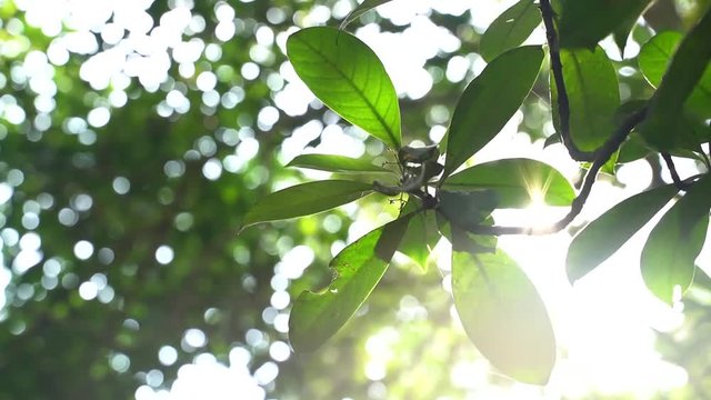 The afternoon with the sun shine