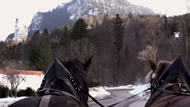 Bavarian horses carrying group of tourists for a ride to Neuschwanstein castle point of view from the carriage 4k footage