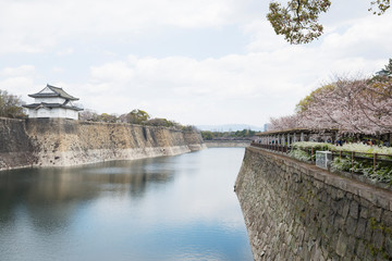 Fototapeta na wymiar 春の大阪城公園