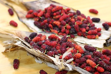 Mulberry fruits ( Morus rubra ) on wooden table