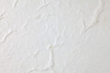 White Mulberry paper background.