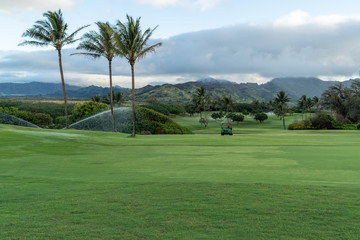 Obraz premium Green grassy golf course with palm trees and a cloudy sky, Poipu, Kauai