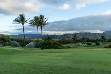 Green grassy golf course with palm trees and a cloudy sky, Poipu, Kauai